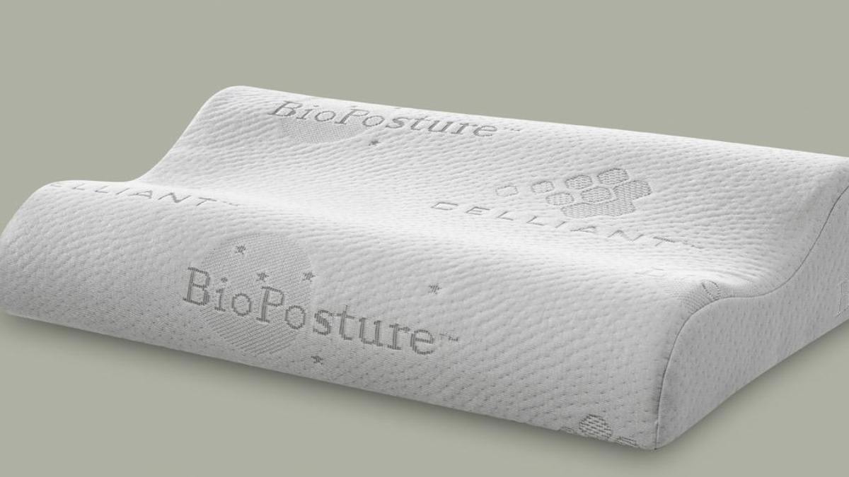 Bioposture3