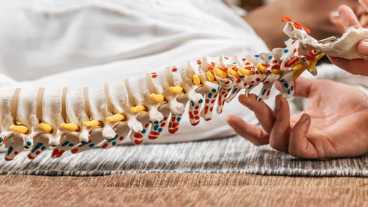 Preventative SpineMed Care