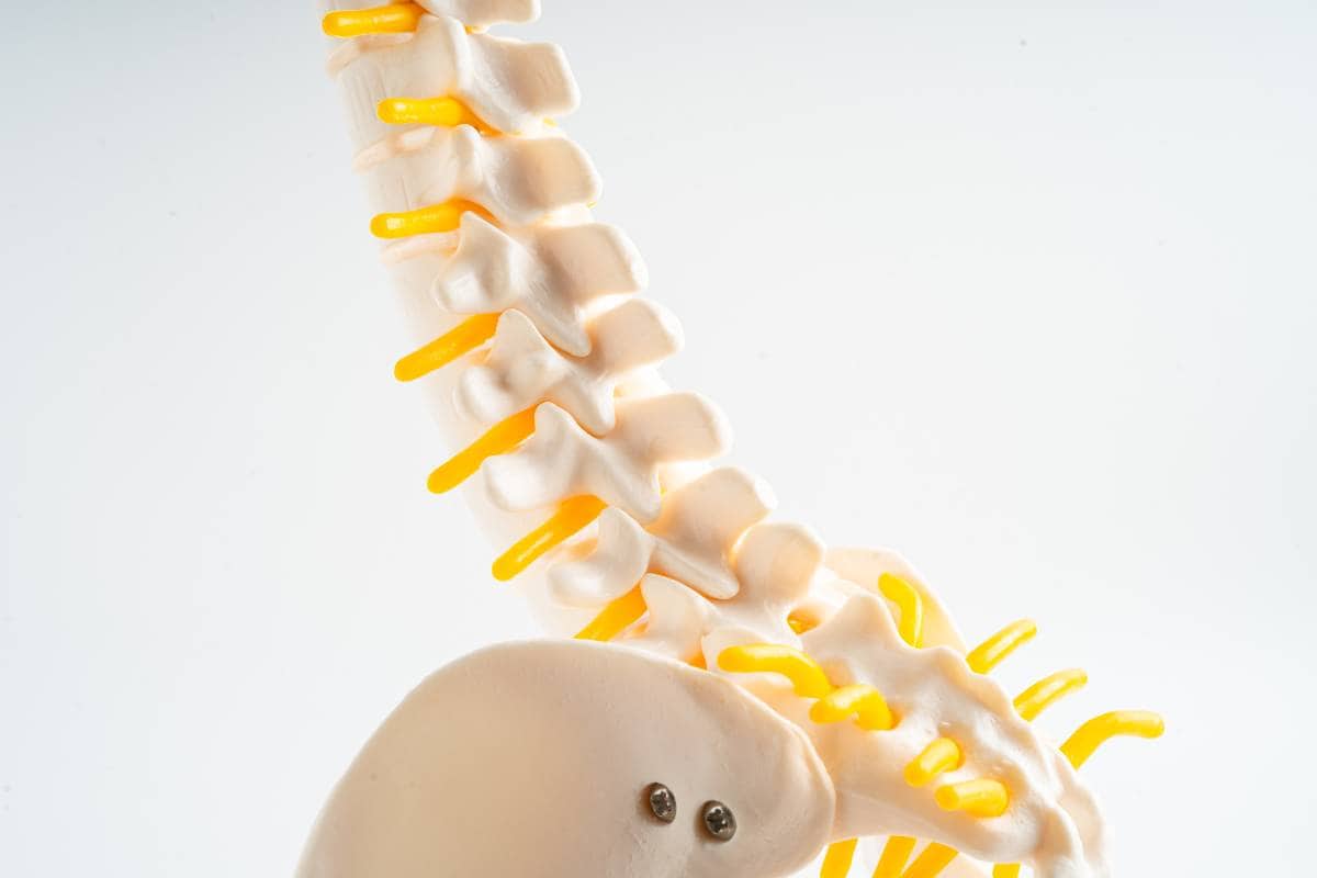 stages of cervical and lumbar spine degeneration